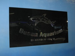 IMG_2574 busan aquarium sign